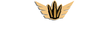 buy ammunitions logo